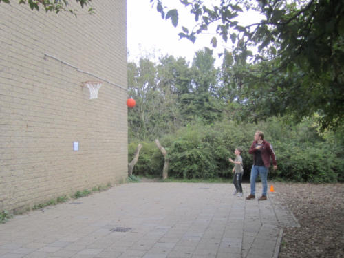 IMG 3470