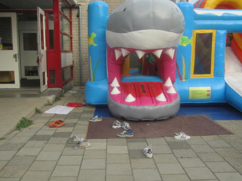 IMG 3480